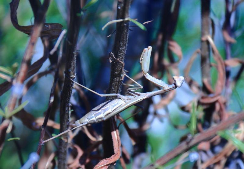 [ pilt: 010XX    .JPG ]